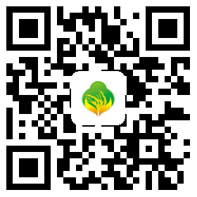 宿遷金龍糧食手機網(wǎng)站